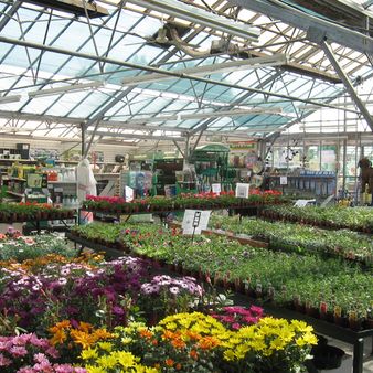  Vincent Nurseries