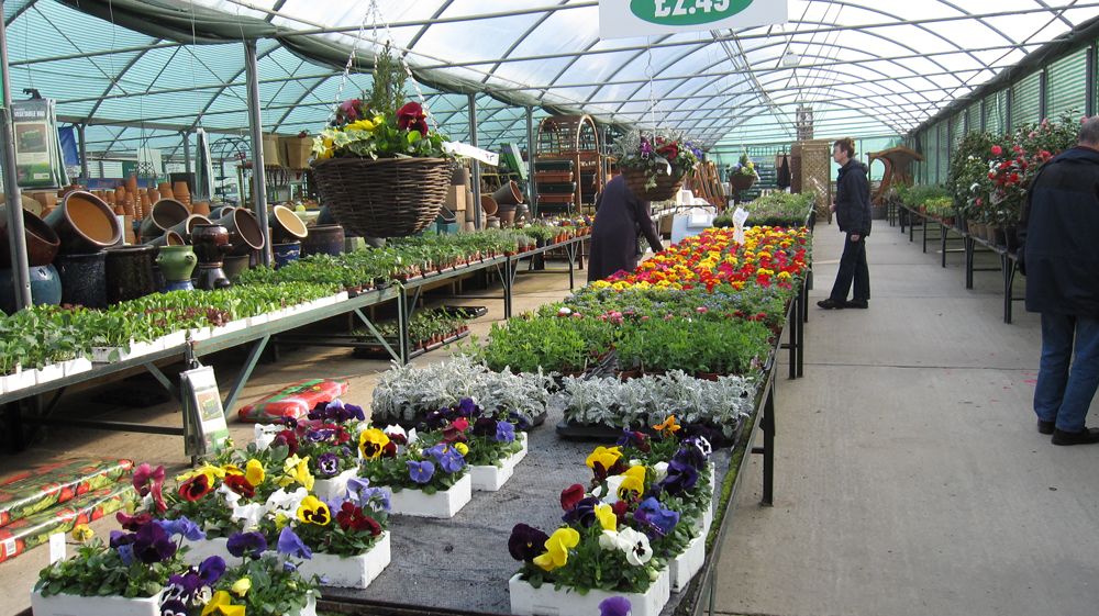 Garden Centre In Herne Bay Vincent Nurseries