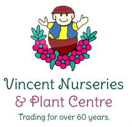  Vincent Nurseries