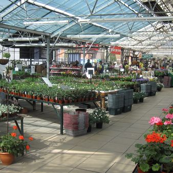  Vincent Nurseries